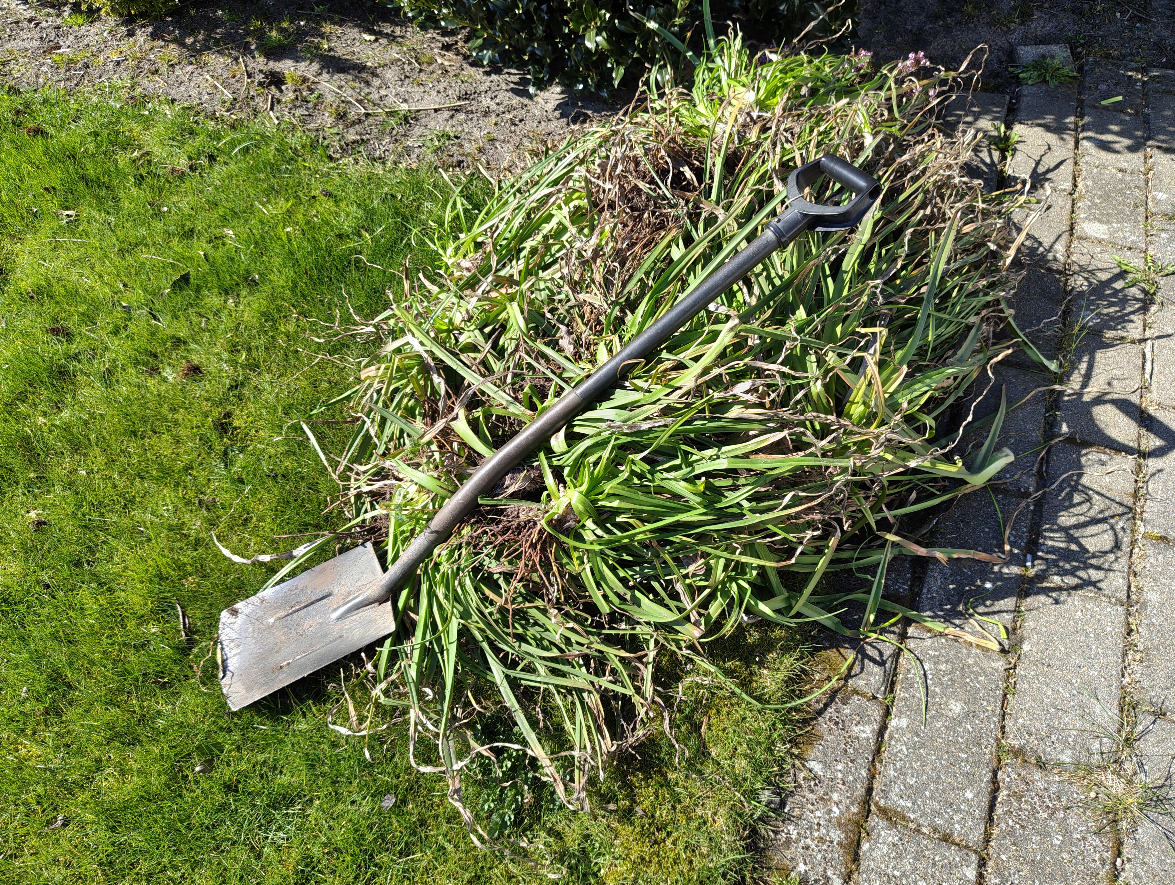 I've been feeling a bit down, but thankfully the weather improved and I could do some gardening — the best way to lift my spirits.