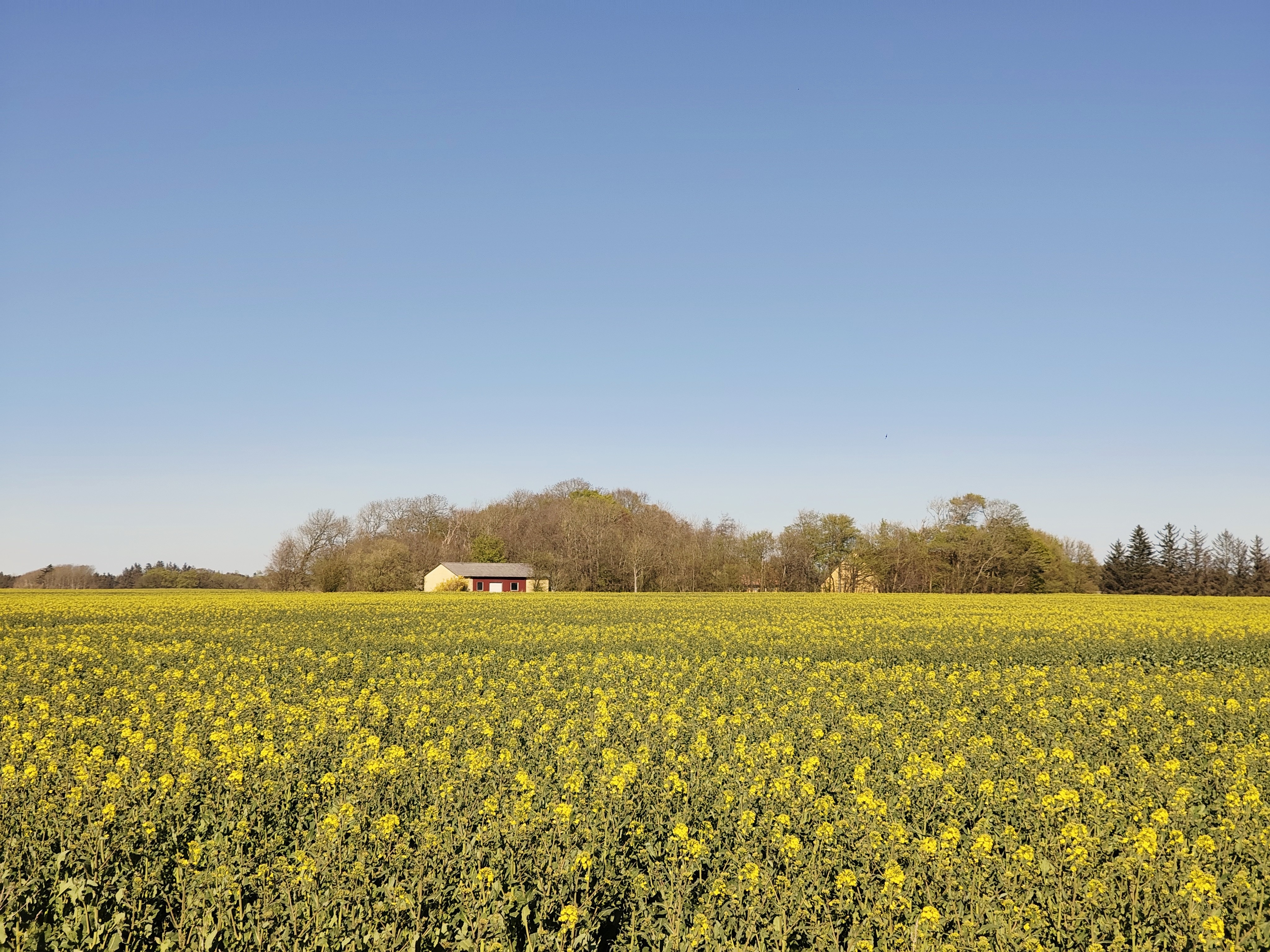 Spring has finally arrived.