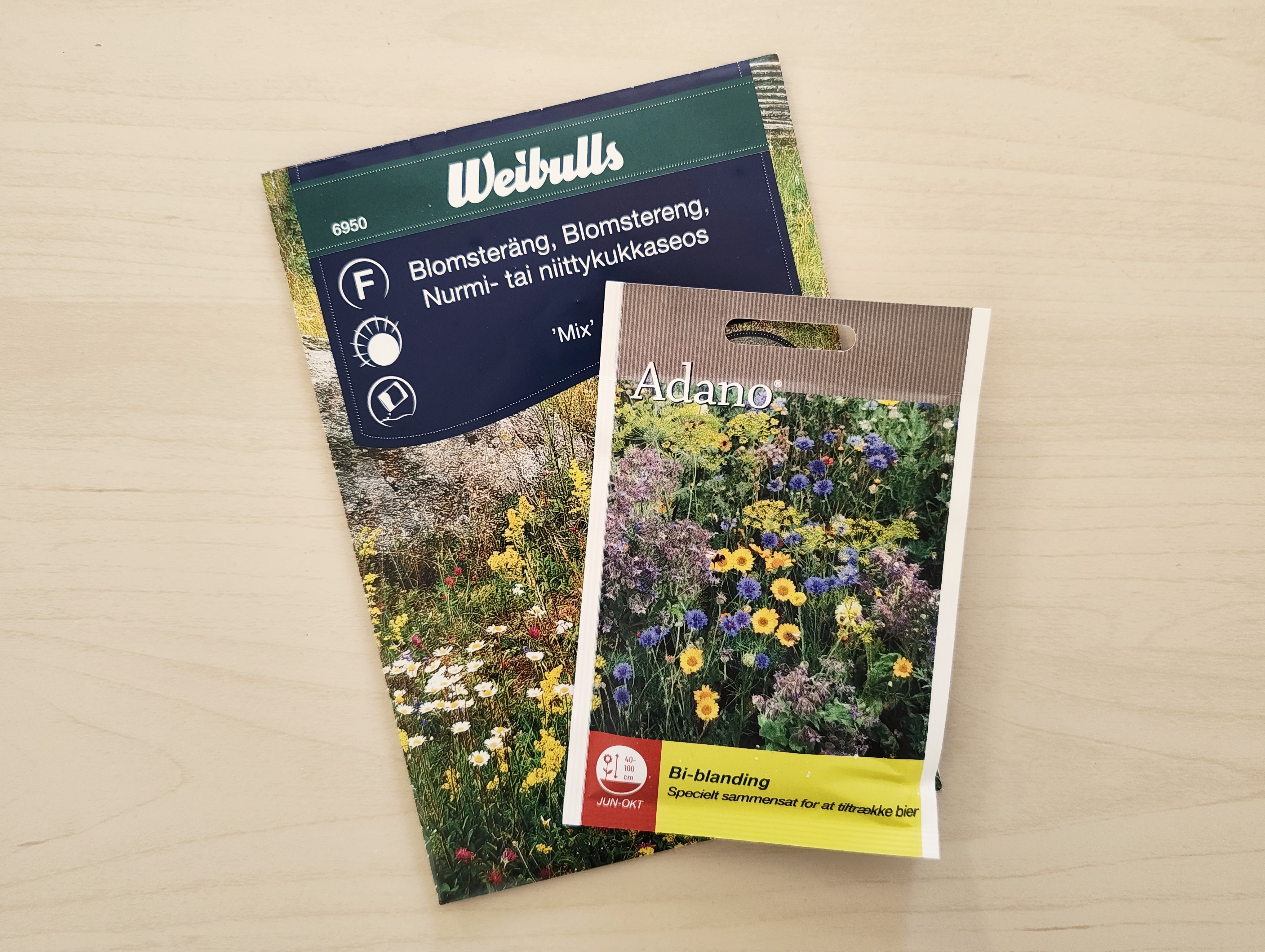 Today is The Big Sowing Day.