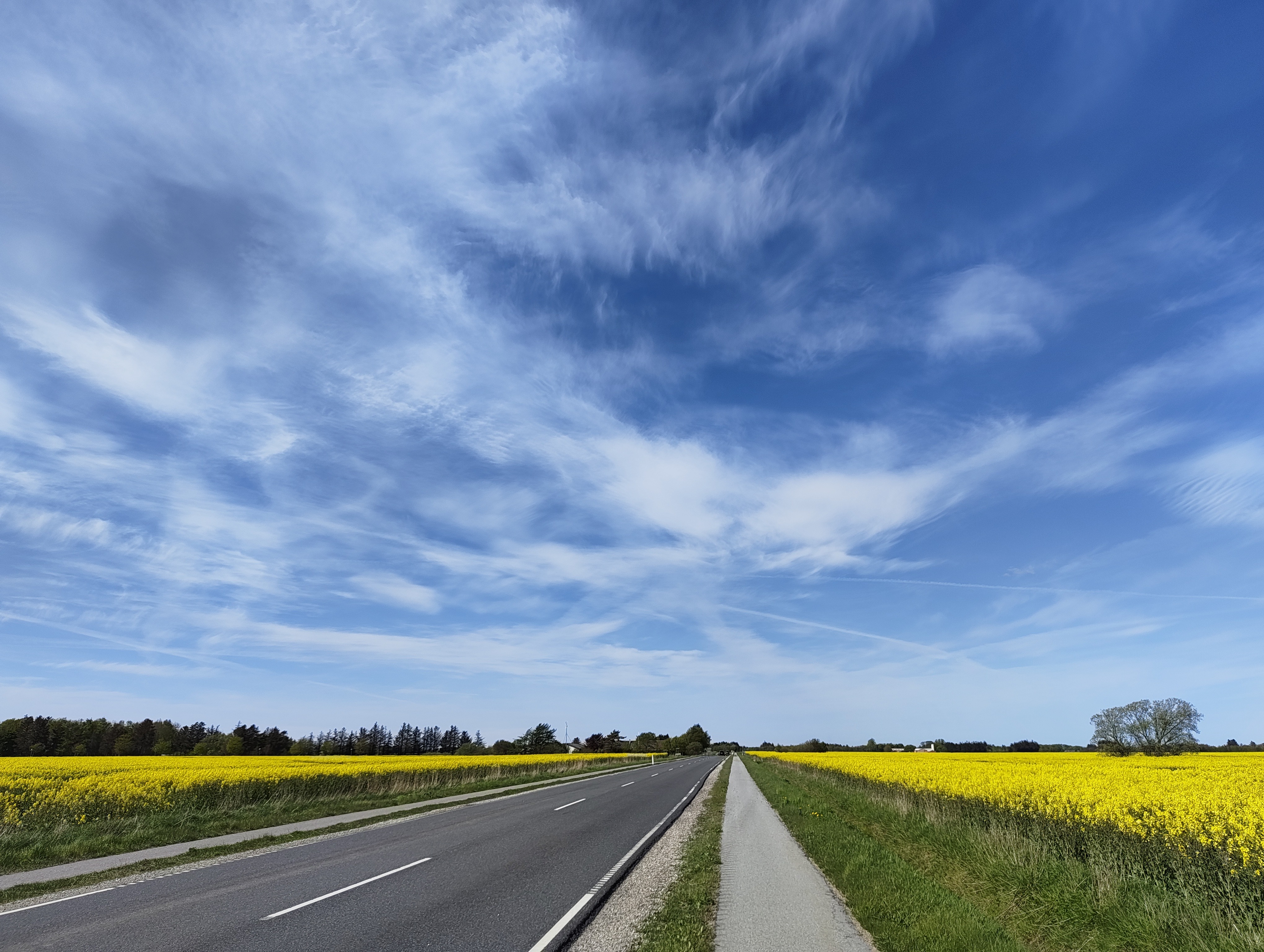 This is what Northern Jutland looks like on a good day. Bonus: tail wind when biking back home. It's like winning the lottery.