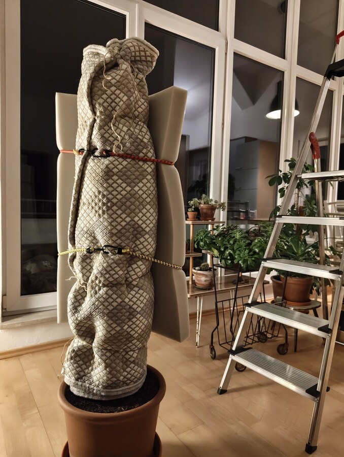 I swear we're not trying to dispose of a body. It's our cactus. That's the story we're sticking to, anyway.