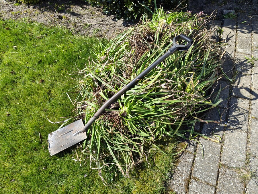 I've been feeling a bit down, but thankfully the weather improved and I could do some gardening — the best way to lift my spirits.