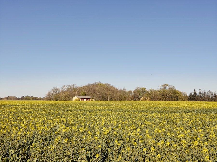 Spring has finally arrived.