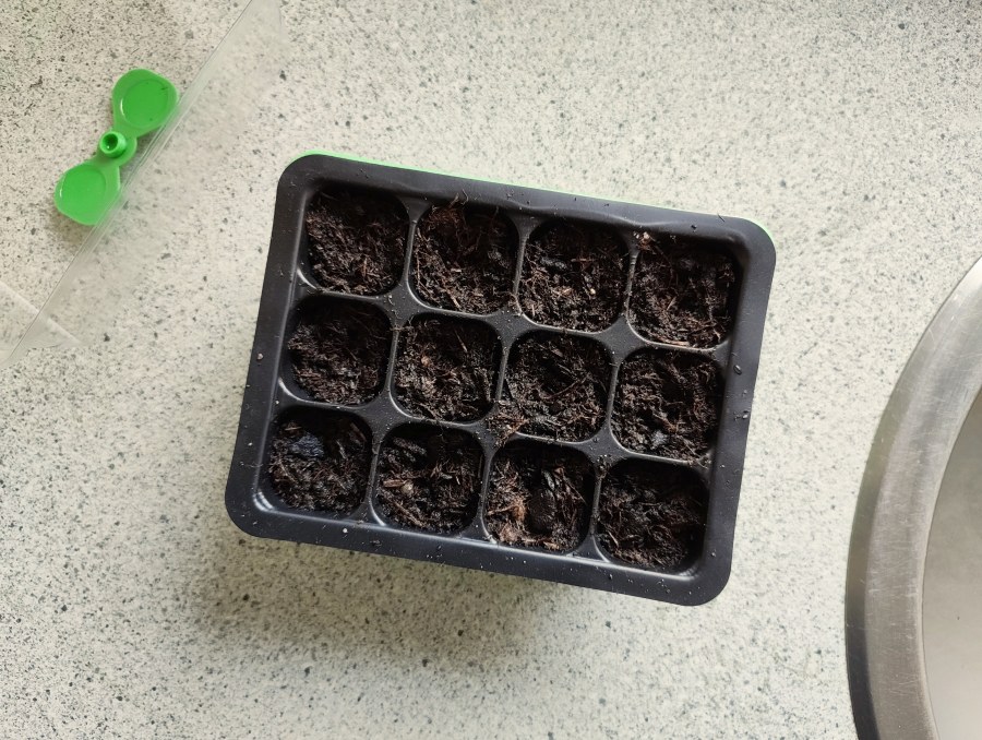 This evening, we planted sunflowers in a tiny greenhouse to let them germinate. On a related note, I'm almost done digging soil in our garden.