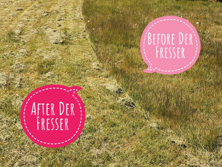 Der Fresser has been successfully deployed.
