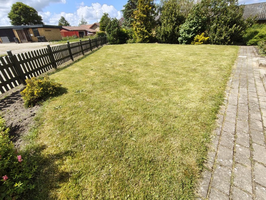 It took a while, but I've finally finished clearing up the yet-unused patch of our garden. Much more rewarding than increasing productivity with AI tools, sitting through all-hands snoozefests, and listening to pseudo-intellectual bullshit about growth mindset.