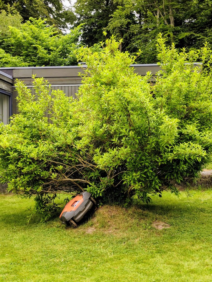 Tree: 1 Robot: 0 (Not our garden)