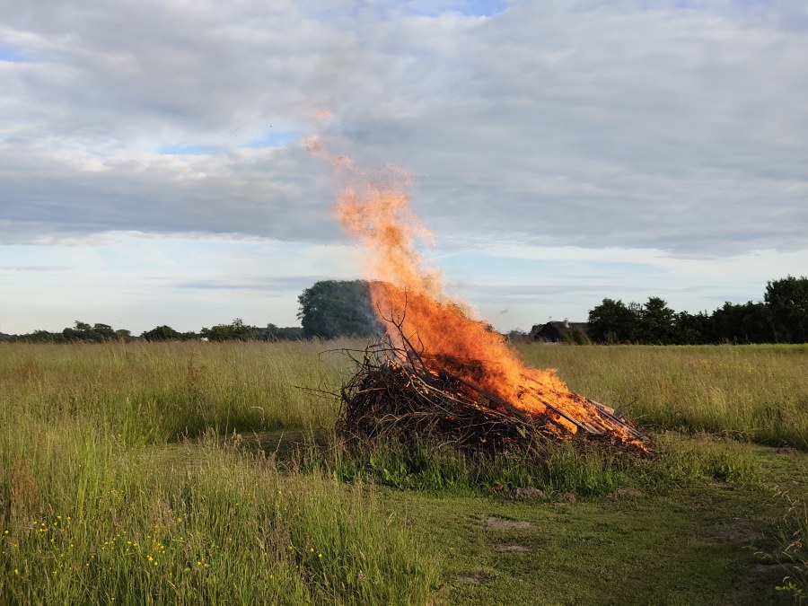 Our neighbors hosted a midsummer get-together. It was wonderful to meet people from the neighborhood, grill food, enjoy a few drinks, and cap off the evening with a proper bonfire.