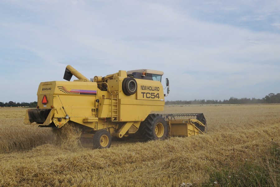 Did you know that harvesters poop?