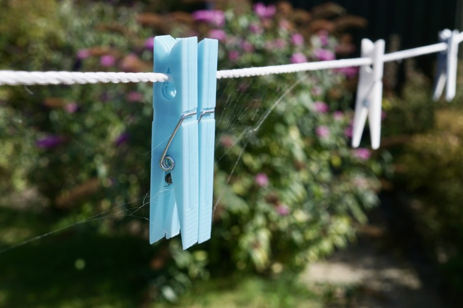 I bet you're wondering why on earth I'm sharing a photo of a clothespin. I'll tell you why.

One thing we've learned about spiders is that they can spin cobwebs practically anywhere in no time at all. Exhibit A: an enterprising spider not only managed to spin a web around the clothespin (and even caught a meal in it), but also decided that the clothespin itself makes a pretty good shelter. You can see its tiny butt sticking out right under the spring.